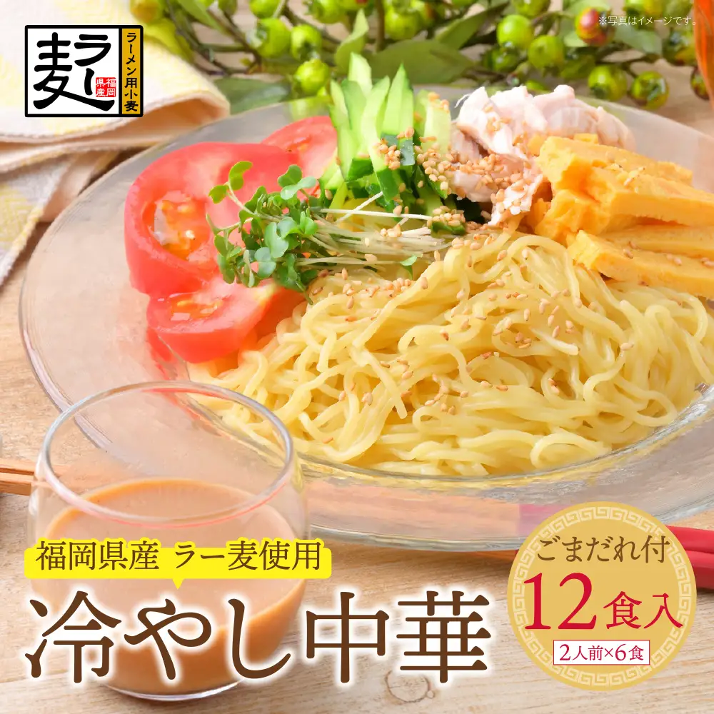 Z16-23 【4～8月発送】福岡県産ラー麦 冷し中華（ごまだれ付）冷やし中華