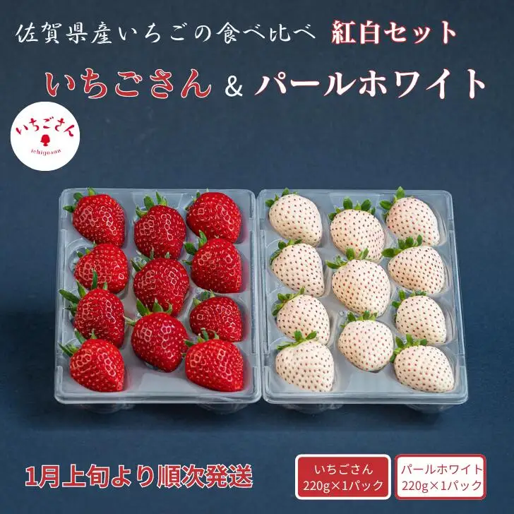 2027年発送！数量限定！佐賀県産いちご いちごさん&パールホワイト 紅白セット 苺 イチゴ：B140-083
