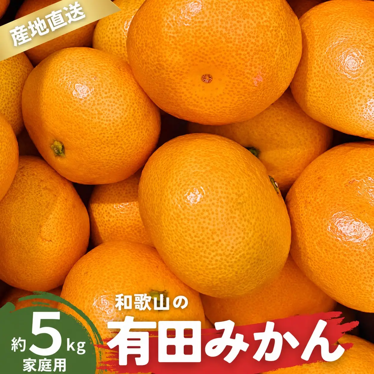 【11月発送】ご家庭用 有田みかん 和歌山 S～Lサイズ 大きさお任せ 5kg / みかん フルーツ 果物 くだもの 有田みかん 蜜柑 柑橘【ktn007A-11】