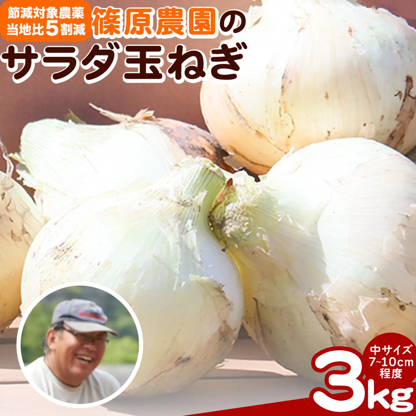 玉ねぎ サラダ 3kg 玉ねぎ