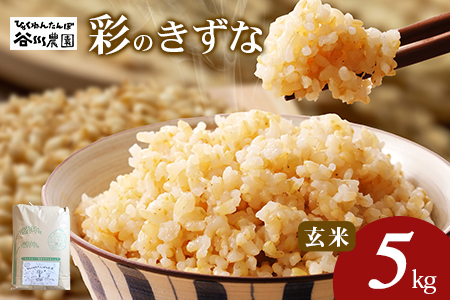 【令和6年産】 彩のきずな　玄米　5kg