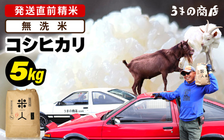令和8年産 コシヒカリ 5kg【無洗米】 [m25-a007_02]