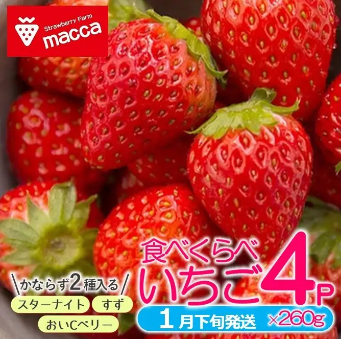 《2027年産先行予約》「西脇市産いちご食べくらべセット」令和９年１月下旬配送分（1箱2パック）【いちご畑macca】「ひょうご推奨ブランド」認証