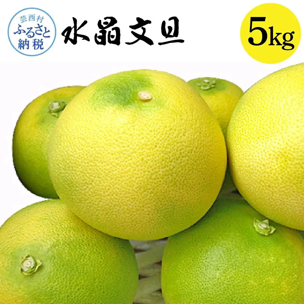 高知県産 水晶文旦 5kg 