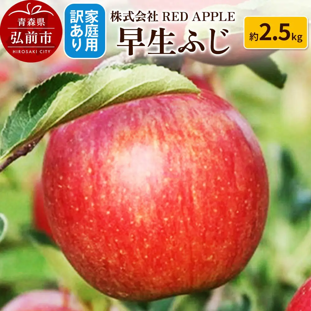 【26年10月発送】りんご【訳あり】家庭用 早生ふじ 約2.5kg 先行受付