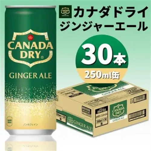 カナダドライジンジャーエール250ml缶×30本_飲料・ドリンク 炭酸飲料 ジュース _【1551264】