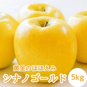 【南信州高森産】黄金のほほえみシナノゴールド5kg 秀＜10月下旬発送＞