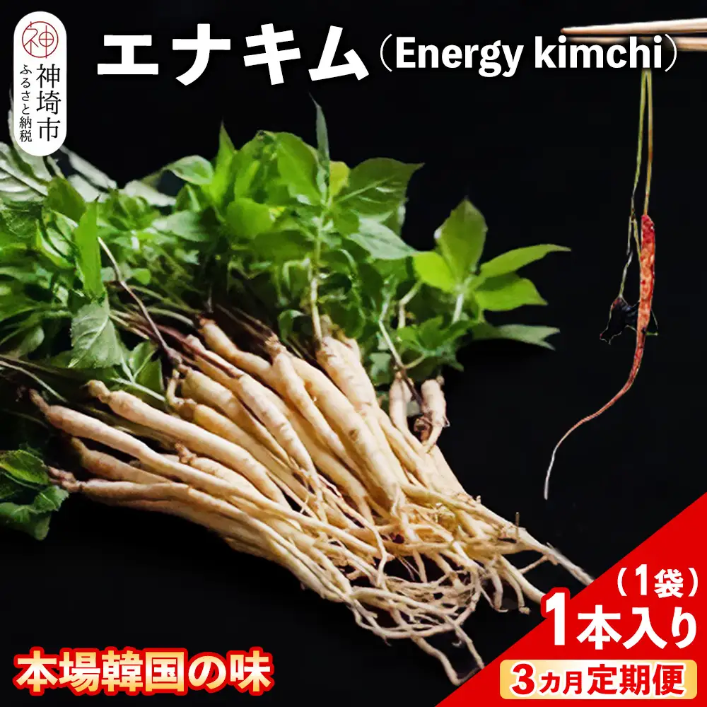 【3カ月定期便】一子相伝 秘伝のエナキム(高麗人参スプラウト・キムチ)1袋1本入り(H104310)