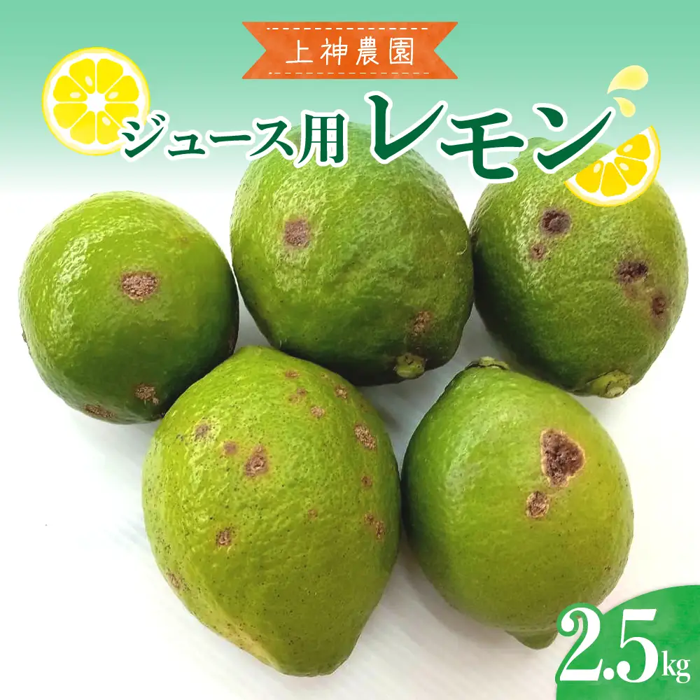 【先行受付】【2026年11月～発送】ジュース用 レモン 約2.5kg