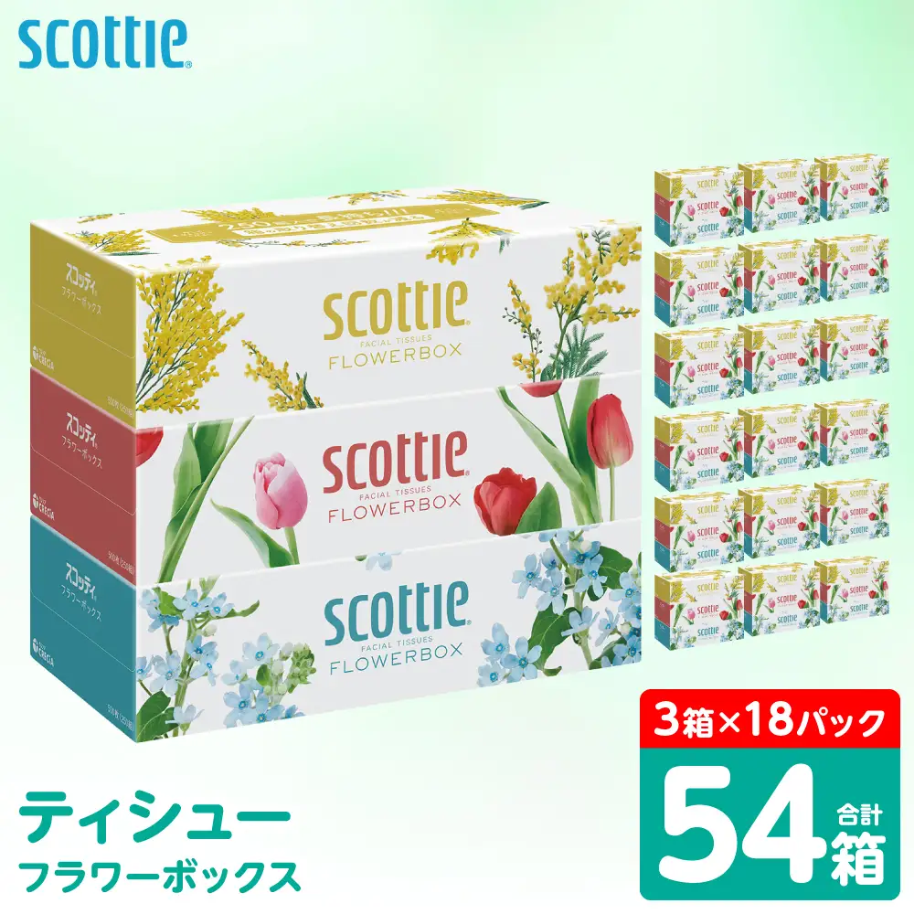 スコッティ ティッシュ 250組 54箱 ティシュー