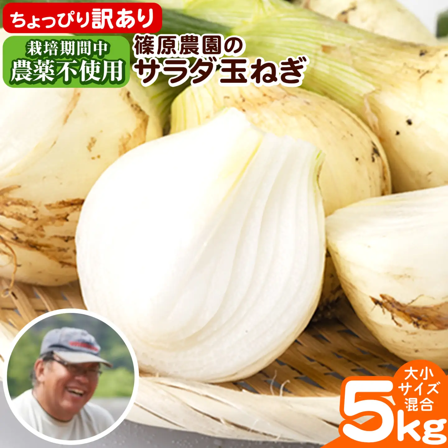 玉ねぎ サラダ 5kg 玉ねぎ