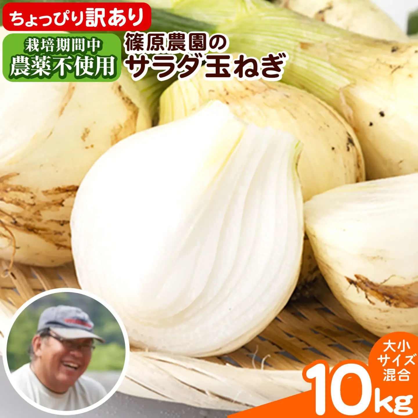 玉ねぎ サラダ 10kg 玉ねぎ