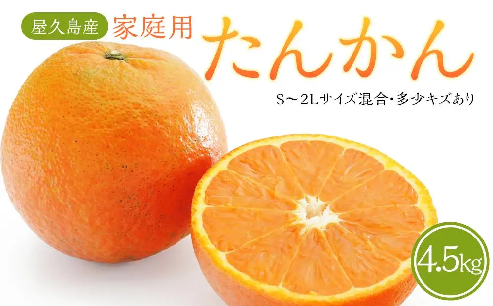 【2027年3月初旬以降発送】屋久島産 家庭用 たんかん 4.5kg バラ（S～2Lサイズ混合・多少キズあり）｜たんかん