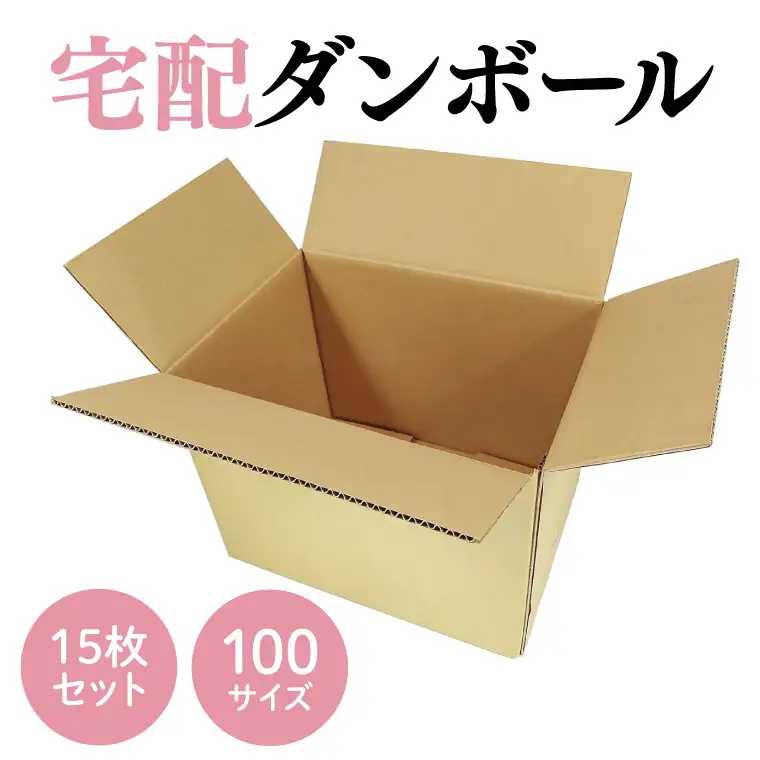 ダンボール 宅配 100サイズ 15枚セット【埼玉県 春日部市 収納 箱 梱包 宅急便 引っ越し 丈夫 厚手】(CX003)