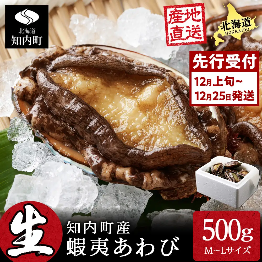 〈2026年12月発送予約〉北海道 知内産 天然活あわび約500g（M～L詰め合わせ）≪上磯漁業協同組合≫