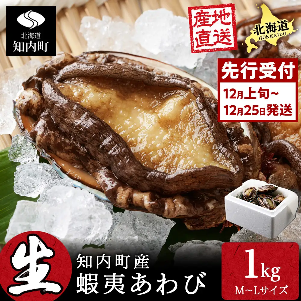 〈2026年12月発送予約〉北海道 知内産 天然かつあわび約1kg（M～L詰め合わせ）≪上磯漁業協同組合≫