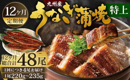 【12ヶ月定期便】九州産 うなぎ蒲焼 特上 4尾 (1尾あたり220～235g)  合計48尾 たれ 山椒 鰻 ウナギ 蒲焼き 国産 冷凍 鹿児島、宮崎、熊本等産うなぎ原料使用