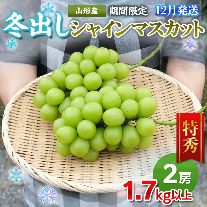 【期間限定】山形市産 冬出し シャインマスカット[12月発送] FY25-915