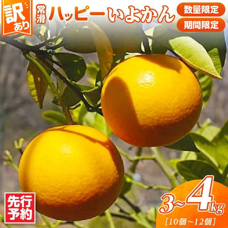 【先行予約】【訳あり】常滑ハッピーいよかん 3～4kg（10個～12個）
