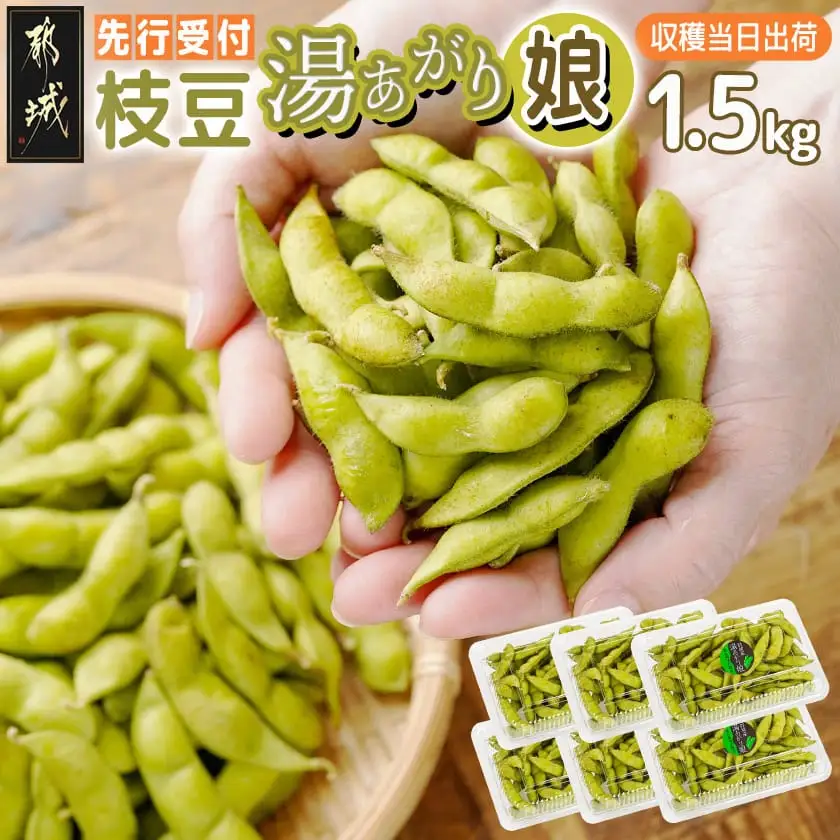 【先行受付】都城産枝豆(湯あがり娘)1.5kg(250g×6P)〔11-B402-7〕_(都城市) 都城産枝豆 湯あがり娘 1.5kg おつまみ 産地直送 先行受付