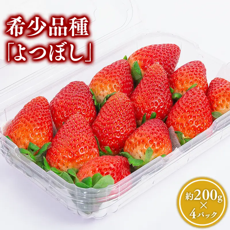 いちご よつぼし 約200g×4パック 1～4月発送 [hi-0028-006]