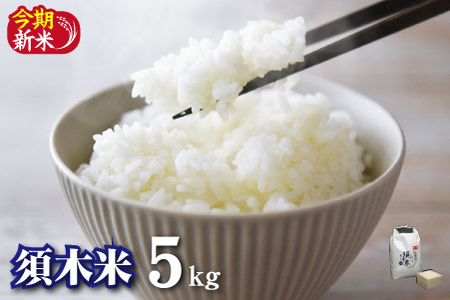 米 令和8年産 須木米 5kg 米