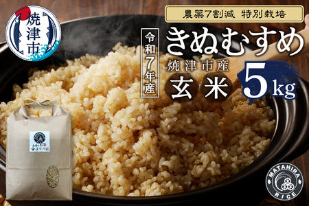 令和７年産　農薬7割減 特別栽培 きぬむすめ 玄米 5kg (a13-162)