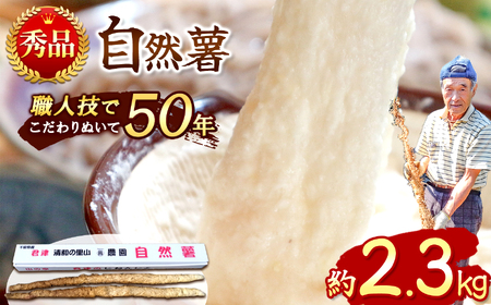  自然薯 【 約2.3kg 】 2 本 ～ 3本 千葉県産 11月上旬頃～順次発送 | マルショー農園 パイプ 栽培 ベテラン農家 長期保存 じねんじょ とろろ やまいも 山芋の卵焼き 麦とろご飯 ネバネバ丼 とろろそば 君津市 きみつ 千葉県