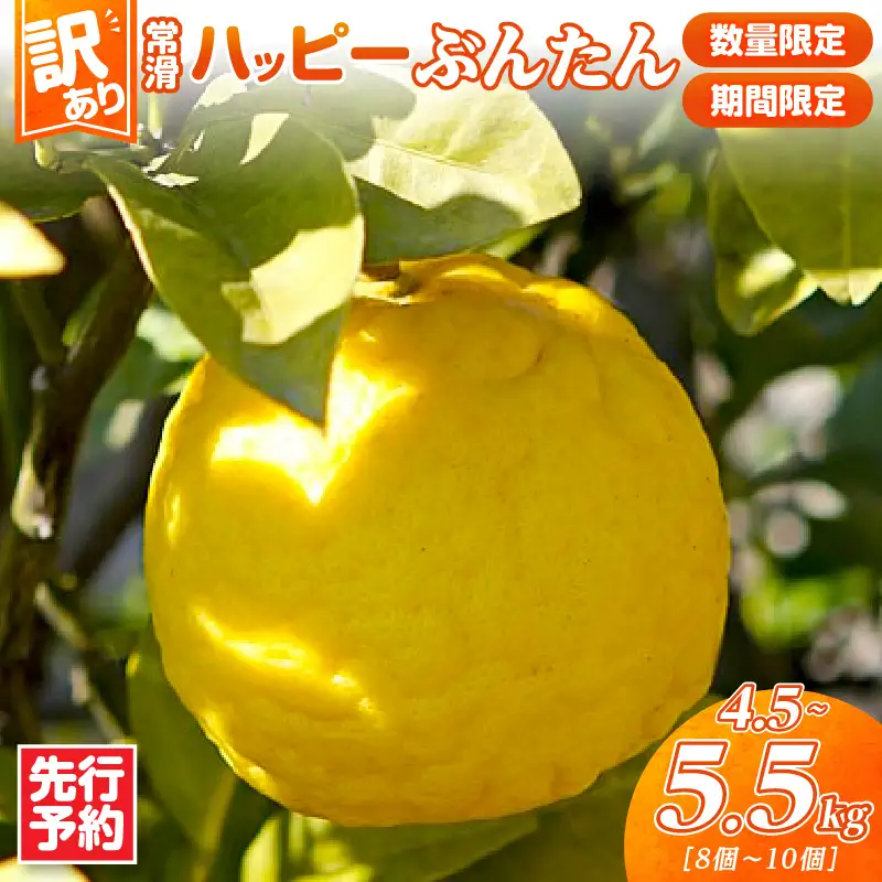 【先行予約】【訳あり】常滑ハッピーぶんたん 4.5～5.5kg（8個～10個）