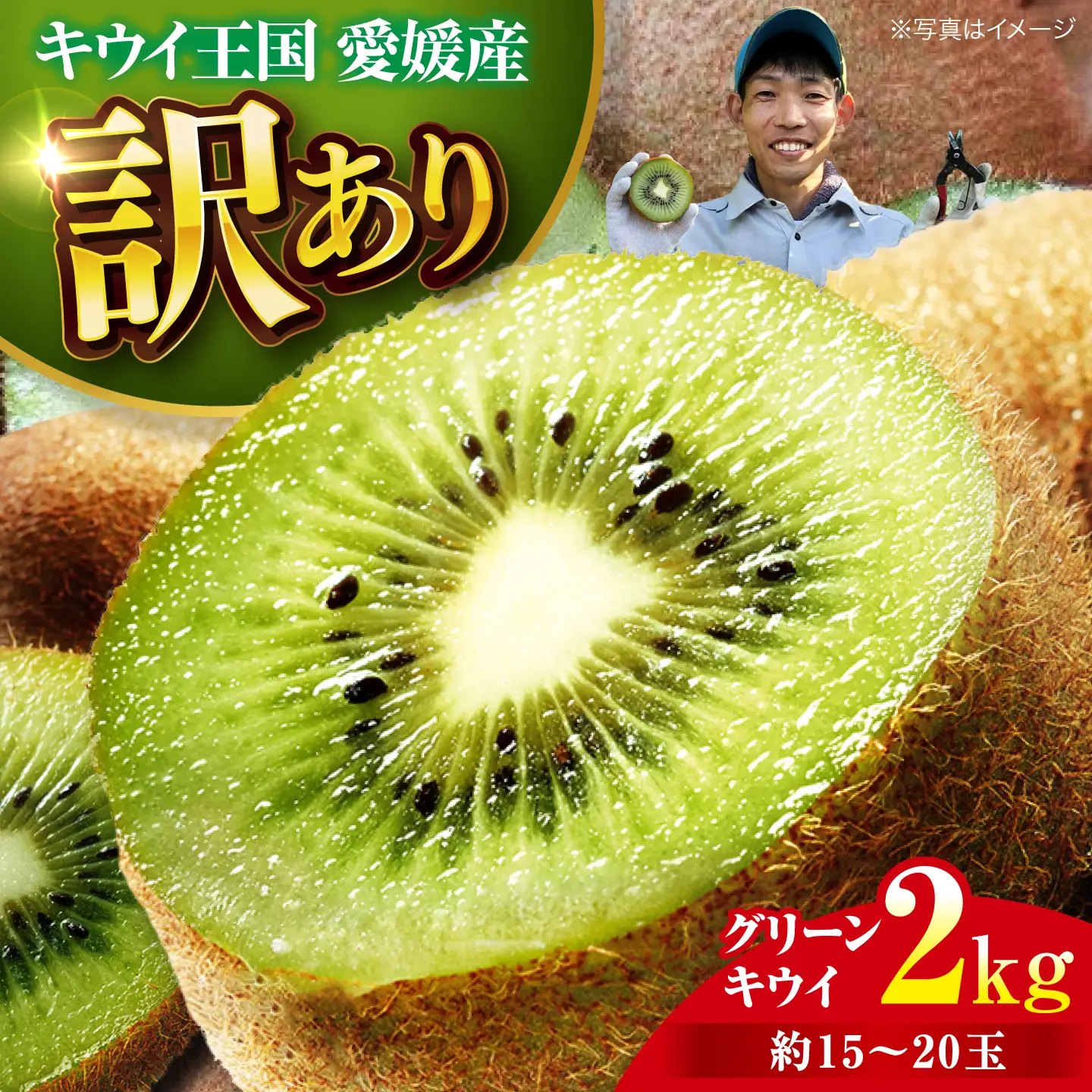 キウイ 訳あり 2kg キウイ [AGBC011]