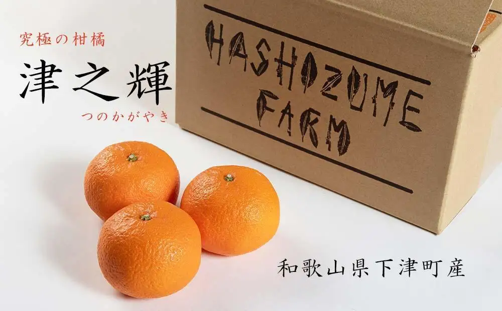 津之輝(つのかがやき) 和歌山県産 5kg【2027年先行予約】