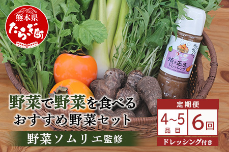 【定期便 6回】野菜ソムリエ 監修【 野菜で野菜を食べる 】旬の おすすめ 野菜＆ドレッシング 定期便 (1?2名様向け) 野菜 獲れたて 直送 旬 新鮮 セット 詰め合わせ 詰合せ 定期便 産地 直送 国産 旬 野菜 ひとり暮らし 夫婦 熊本県 多良木町 ドレッシング 024-0807