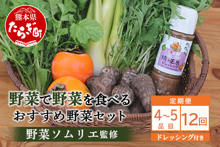 【定期便 12回】野菜ソムリエ 監修【 野菜で野菜を食べる 】旬の おすすめ 野菜＆ドレッシング 定期便 (1?2名様向け) 野菜 獲れたて 直送 旬 新鮮 セット 詰め合わせ 詰合せ 定期便 12カ月 産地 直送 国産 旬 野菜 ひとり暮らし 夫婦 熊本県 多良木町 ドレッシング 024-0808