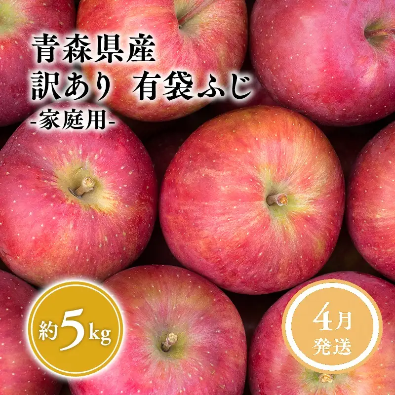 りんご 有袋ふじ 家庭用 約5kg りんご