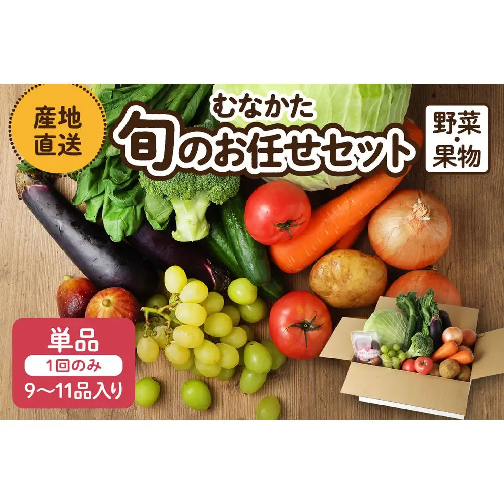 むなかた旬のお任せ セット 野菜 フルーツ 9～11品 _HA1570 | 詰め合わせ
