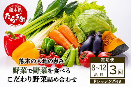 【定期便3回】熊本の大地の恵み≪ 野菜で野菜を食べる ≫ 旬のこだわり 野菜 ＆ドレッシング セット (3?4名様向け) 野菜 獲れたて 8～12品 直送 旬 新鮮 定期便 野菜ドレッシング 詰め合わせ 詰合せ 熊本県 多良木町 024-0814