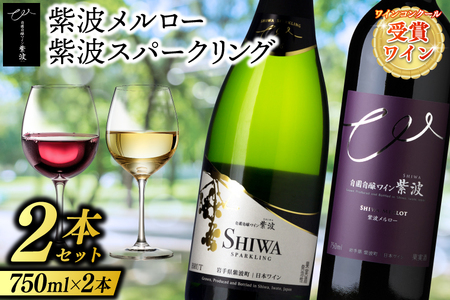 【自園自醸ワイン紫波】ワインコンクール受賞ワイン２本セット (AL071) 
