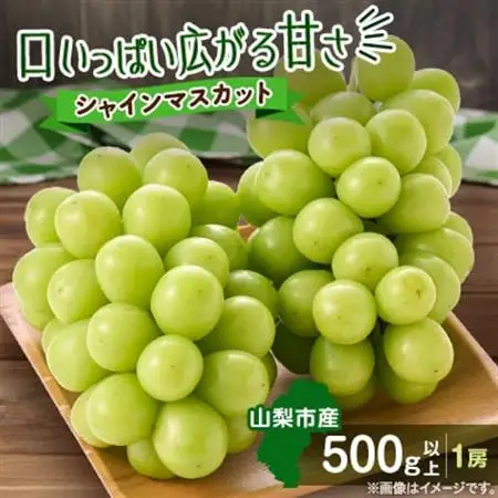 【2026年発送】やみつきシャインマスカット 500g以上(1房)【配送不可地域：離島】【1551175】