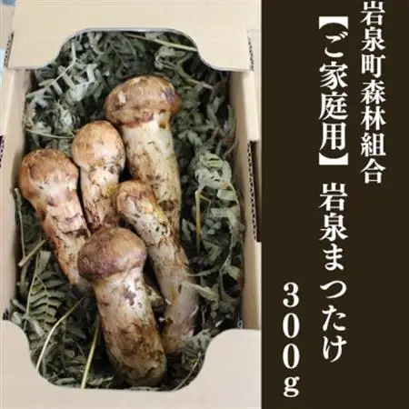 【2026秋発送】≪ご家庭用に≫　岩泉まつたけ  300g_野菜 松茸 きのこ まつたけ マツタケ_【配送不可地域：離島】【1424099】