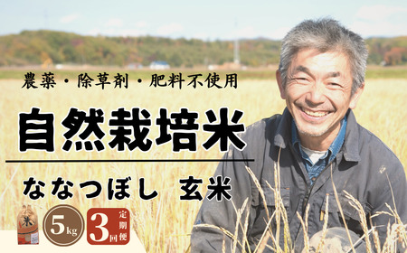 【全3回定期便】【玄米】 自然栽培米 角田玄米（ななつぼし）5kg《厚真町》【カクタファーム】 [AXAR004] 米 お米 玄米 ななつぼし ご飯 北海道 定期便