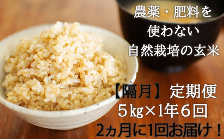 【隔月・全6回定期便】【玄米】 自然栽培米 角田玄米（ななつぼし）5kg《厚真町》【カクタファーム】 [AXAR005] 米 お米 玄米 ななつぼし ご飯 北海道 定期便