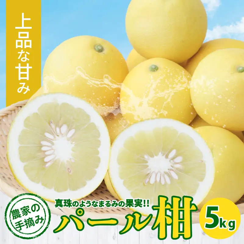 S040-031_農家の手摘み　パール柑　5kg