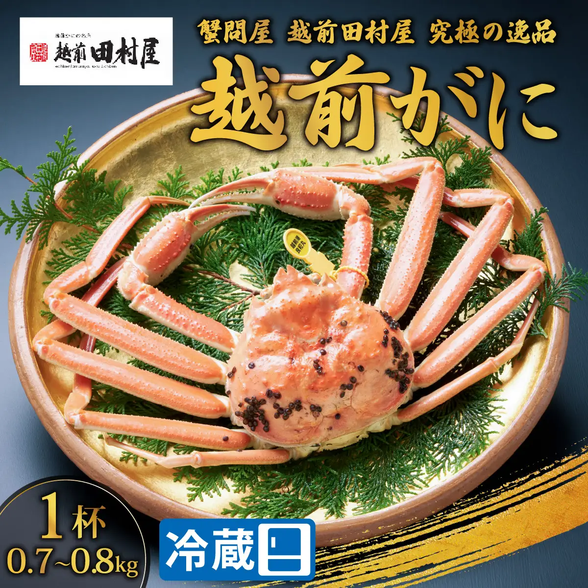 【先行予約】【蟹問屋 越前田村屋 究極の逸品】越前がに (ズワイ）0.7-0.8kg 1杯 [H-029002] / ｽﾞﾜｲｶﾞﾆ ｽﾞﾜｲｶﾞﾆ ｽﾞﾜｲｶﾞﾆ