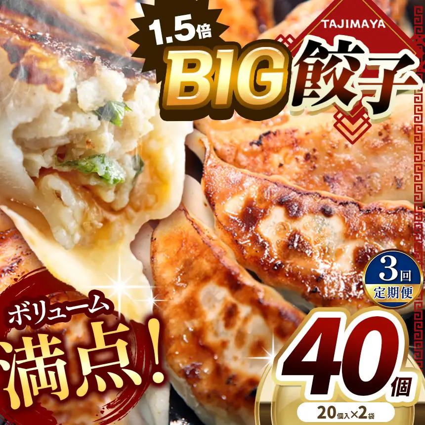 【定期便3回】たじまやオリジナルビッグ餃子 40個  