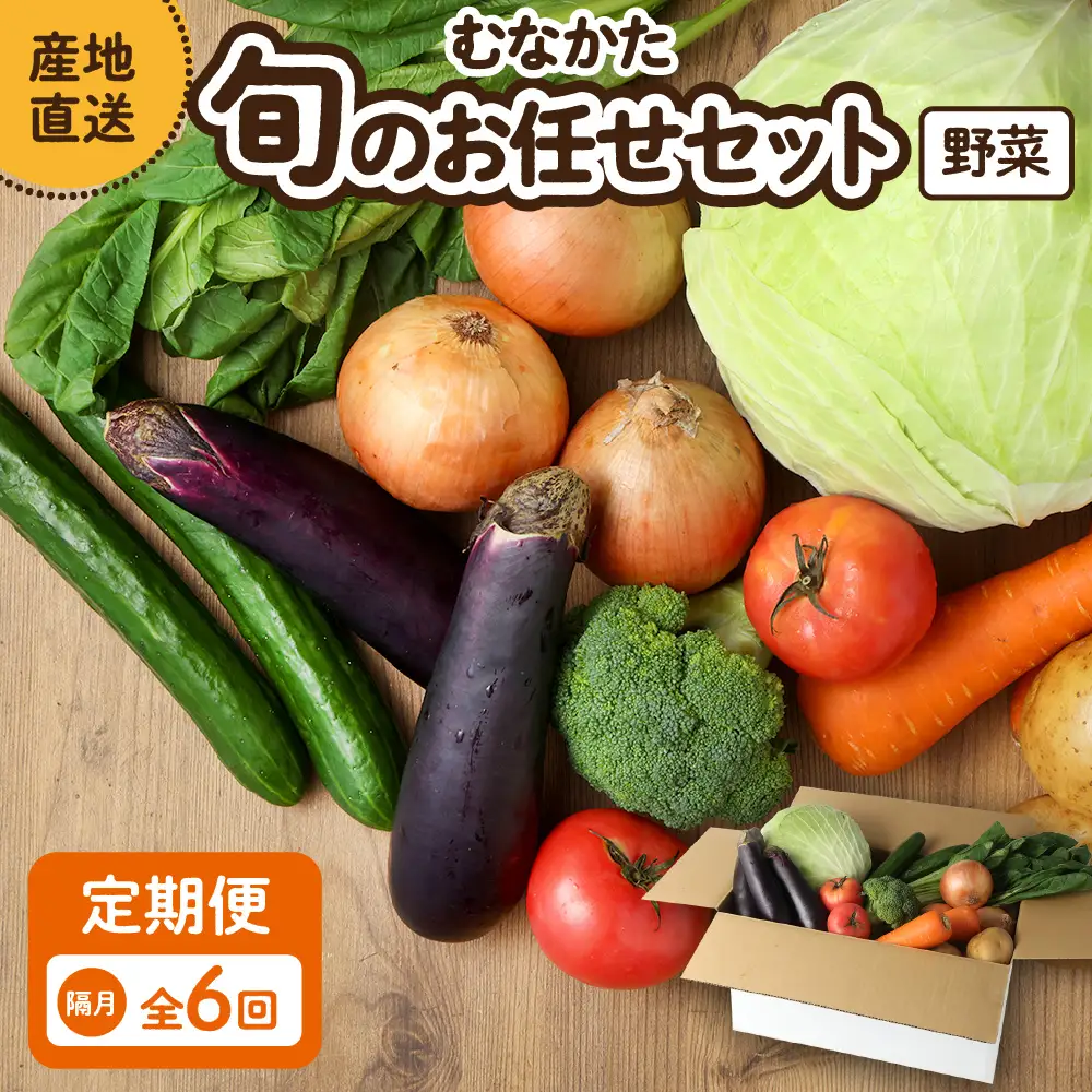 【奇数月お届け】むなかた旬のお任せセット(野菜) 7～9品【ほたるの里】_HB0172
