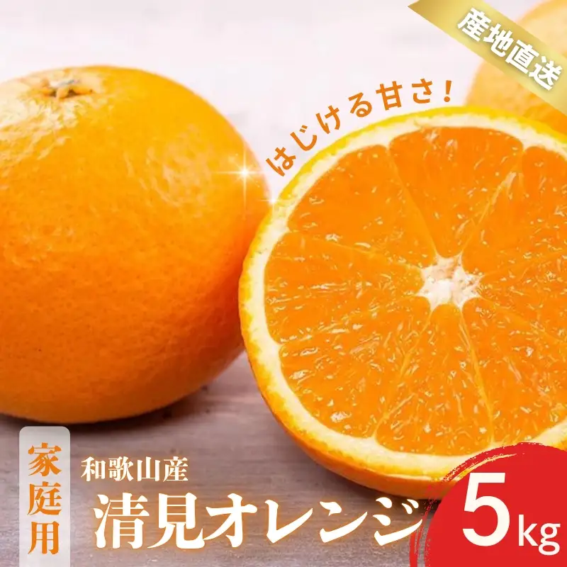 【先行予約】家庭用 訳あり きよみ 清見オレンジ 和歌山 有田 2S～3Lサイズ混合 5kg【2月上旬～3月下旬頃に順次発送】/ みかん フルーツ 果物 くだもの 蜜柑 柑橘【ktn040】 