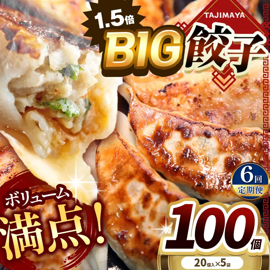 【定期便6回】たじまやオリジナルビッグ餃子 100個