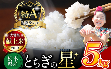 栃木県産 とちぎの星 白米 5kg |  お米 米 こめ おにぎり ごはん ご飯 令和6年産 栃木県 真岡市 ブランド米 