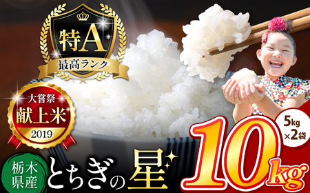 栃木県産 とちぎの星 白米 10kg |  お米 米 こめ おにぎり ごはん ご飯 令和6年産 栃木県 真岡市 ブランド米 