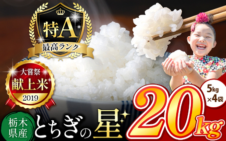 栃木県産 とちぎの星 白米 20kg |  お米 米 こめ おにぎり ごはん ご飯 令和6年産 栃木県 真岡市 ブランド米 